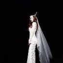 아이비코리아 이미지