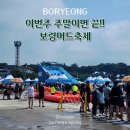 축제-04 | 이번 주말이면 끝!! 2026 보령머드축제 후기 당일치기 준비물 총정리