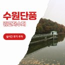 감나무골공원화장실 | 수원 단풍명소 광교저수지 둘레길 주차 실시간 후기