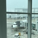 174 | 일본 오사카 여행 에어부산 BX174 후기