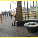 갯벌생태 체험장 이미지