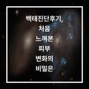 나비드치과의원 | 백태진단후기, 처음 느껴본 피부 변화의 비밀은