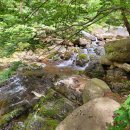 일헌농원 이미지