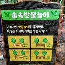 붉은오름자연휴양림 유아숲체험원 이미지