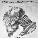 카세리오 이미지