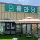 올라몽 네이버블로그