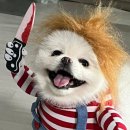 땡큐치킨 - 경주시 포석로 1058-7 | 땡큐치킨