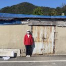 세일링민박 | 어른이들의 문갑도 여행(23.9월)