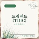 드림랜드 이미지