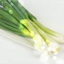 향사랑외과의원 이미지