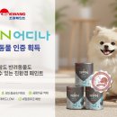 조광페인트 이미지