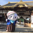 곰스테이리조트 이미지