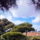 여주-0606 이미지