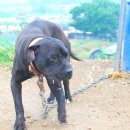 승리농장 이미지