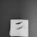 문정탑동물병원 이미지