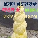 만수무강