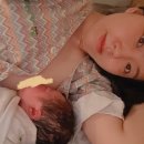 예안백반 네이버블로그