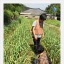 흙사랑 농장 이미지