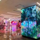 갤러리광고 이미지