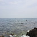 뱃고동횟집 이미지