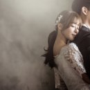 비다펠리즈 이미지