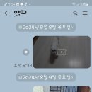 메이저 애견훈련학교 이미지