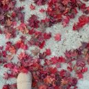 예이제모텔 이미지