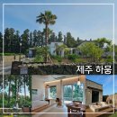 산방산 인근 이국적인 분위기의 제주감성숙소 하뭄 머뭄동 이용 후기