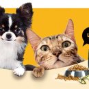 멍이날개 이미지