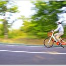 애화공원 이미지