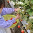 영일농장 이미지