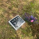 미니스톤 | 내돈내산 미니비석 스톤스토리 후기