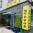 [강원도 정선] 민둥산_돌리네 등산 코스 산행 후기👍👍 (+웰빙한방마을🍗)