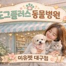 미유펫 동물병원 이미지