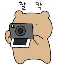 다함오토 이미지