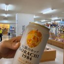 힐링성지투어 | 일본 위스키 성지순례/ 아케시 증류소 투어 후기- 일본의 아일라에서 만난 위스키