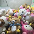 흰둥이네 인형뽑기 이미지