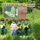 산울림 유아숲체험원 이미지