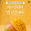 데이올데이