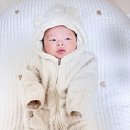 호계공원 | 아기띠 하고 강아지와 산책 애개육아 일상