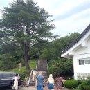 불국사 | 경주 혼자 여행하기ㅣ불국사 후기 , 가는 법 &amp; 꿀팁