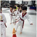 혁신 태권도 이미지