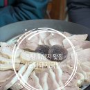 밀양부북 A2BL | 밀양 돼지국밥 맛집: 위양지 주변 돼지국밥 ‘토담 돼지국밥’