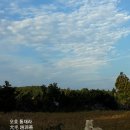 오호 이미지