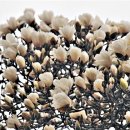 예당한의원 이미지