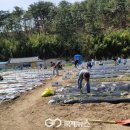 함께하는 농장 이미지