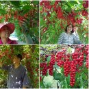 문경동로우체국 이미지