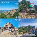 동원핫도그호떡오뎅 | 설악산 케이블카(시간 & 요금 등) 주말 아이랑 다녀온 후기와 웨이팅 꿀팁