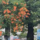 썸피싱카페 | 2025,July