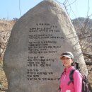 섬진강농장 Daum카페